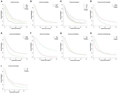 Development and Validation a Nomogram for Predicting Overall Survival in Patients With Intrahepatic Cholangiocarcinoma